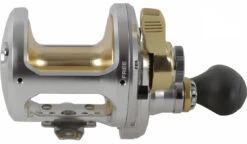 Shimano Talica 1-Speed Lever Drag Conventional Reels 16 Shimano Talica 1-Speed Lever Drag Conventional Reels -US Bait Reel Sales Store 1 d304b867 0bc1 4647 804c e7c840a5546b