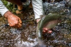 Temple Fork Outfitters Trout-Panfish Spinning Rods -US Bait Reel Sales Store 21122588 1612726152092001 5893757740725659703 o