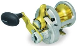 Shimano Talica 2-Speed Lever Drag Conventional Reels -US Bait Reel Sales Store 39256855642201
