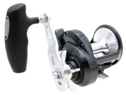 Shimano Torium Star Drag Conventional Reels -US Bait Reel Sales Store 39267241721945