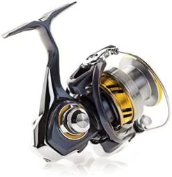 Daiwa Regal LT Spinning Reel -US Bait Reel Sales Store 418E3HhhrIL. AC
