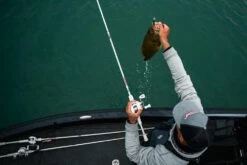 Abu Garcia Veritas Winch Baitcasting Rod 18 Abu Garcia Veritas Winch Baitcasting Rod -US Bait Reel Sales Store ABU CASTING ROD VERITAS PLX WINCH LIFESTYLE 2021 005