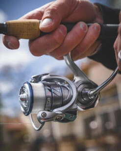 Daiwa Procyon MQ LT Spinning Reel -US Bait Reel Sales Store Procyon5Spot