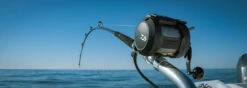 Daiwa Tanacom 800 Power Assist Electric Dendoh Reel -US Bait Reel Sales Store TANACOM 800 BANNER1