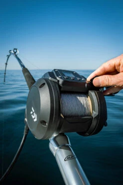 Daiwa Tanacom 800 Power Assist Electric Dendoh Reel -US Bait Reel Sales Store TANACOM 800 41