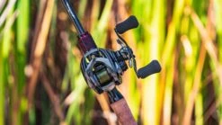 Daiwa Steez CT SV Baitcasting Reel -US Bait Reel Sales Store daiwa steez ct sv 5