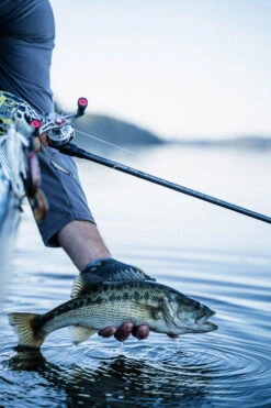 Temple Fork Outfitters Tactical Elite Bass Baitcasting Rods 22 Temple Fork Outfitters Tactical Elite Bass Baitcasting Rods -US Bait Reel Sales Store tfo tactical elite bass bottom banner lifestyle 1 1