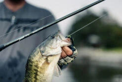 Temple Fork Outfitters Tactical Elite Bass Baitcasting Rods 17 Temple Fork Outfitters Tactical Elite Bass Baitcasting Rods -US Bait Reel Sales Store tfo tactical elite bass bottom banner lifestyle 5 1