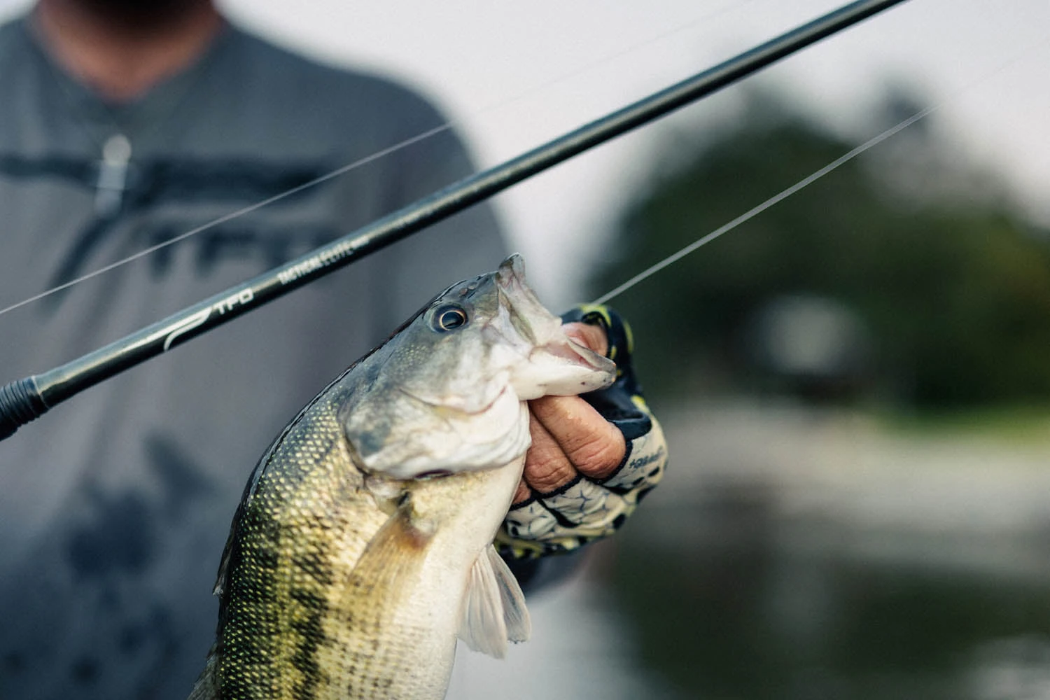 Temple Fork Outfitters Tactical Elite Bass Baitcasting Rods 6 Temple Fork Outfitters Tactical Elite Bass Baitcasting Rods - Image 6